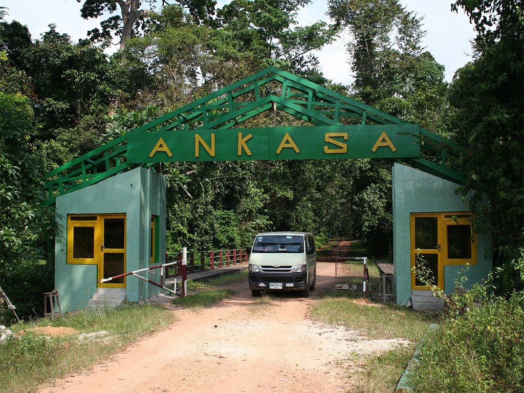 Ankasa Conservation